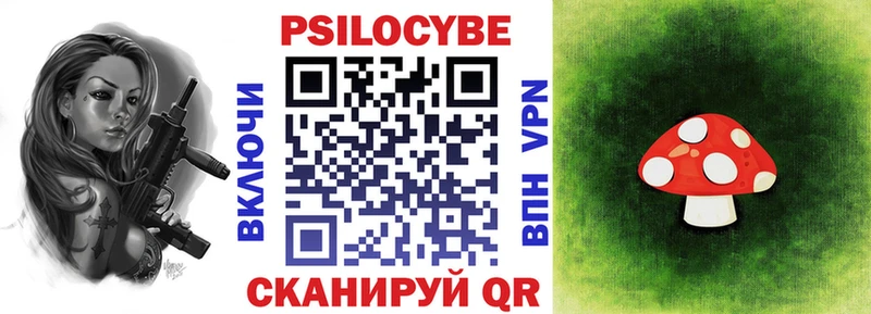 купить наркотик Талдом Галлюциногенные грибы MAGIC MUSHROOMS